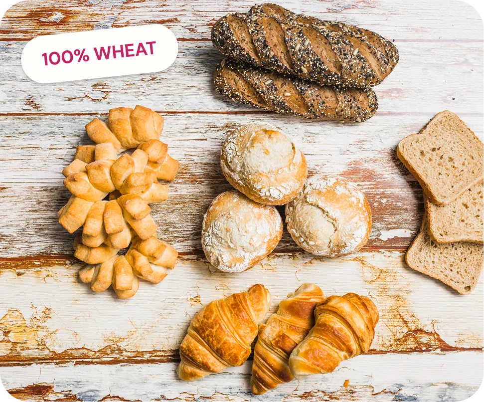A spread of freshly baked breads and pastries, including a 100% wheat batch